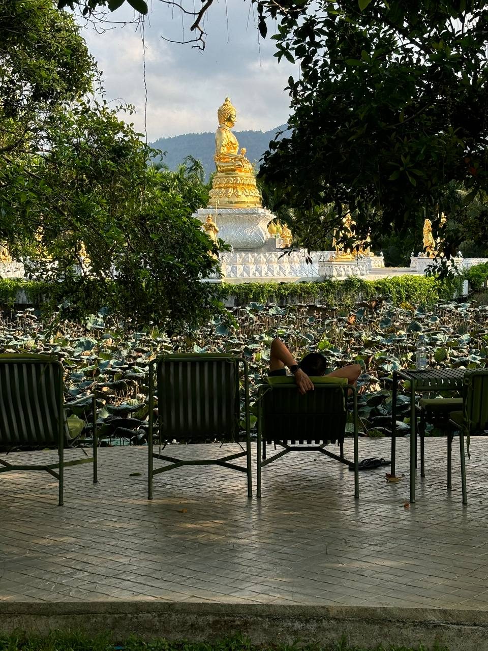 Relax zone