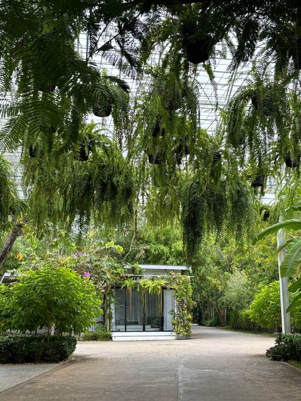 Grounds